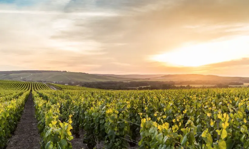 Design ohne Titel (46)