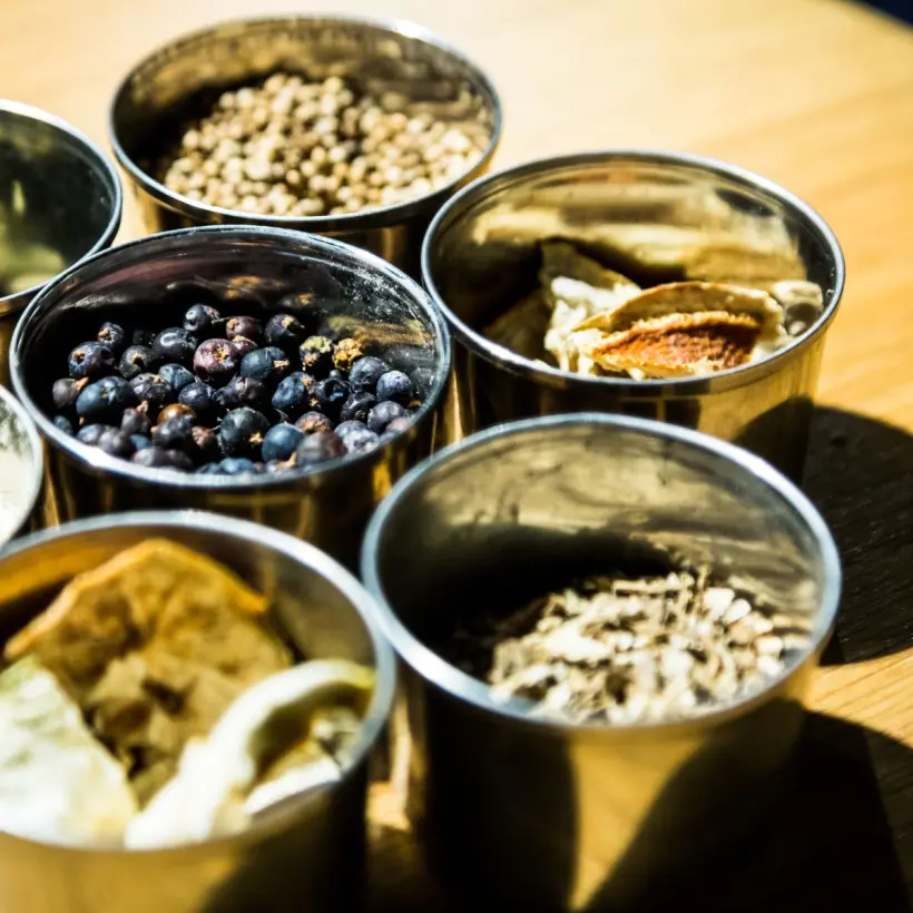 Design ohne Titel (42)